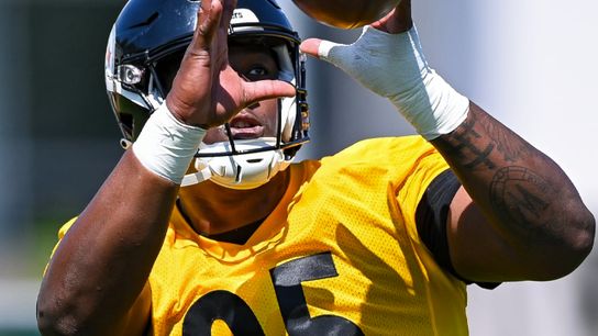 Steelers' Patrick Peterson And Bryant McFadden Astounded By Two Young Defenders: "They Look Like Some Vets Going Against Rookies" (Steelers News)