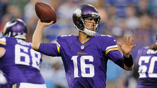 Pittsburgh Steelers Matt Cassel Pittsburgh Steelers Matt Cassel