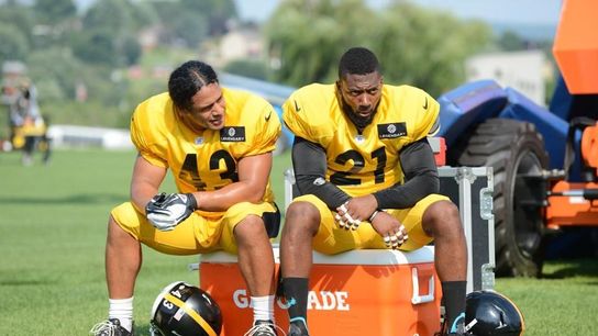 Pittsburgh Steelers Troy Polamalu Ryan Clark