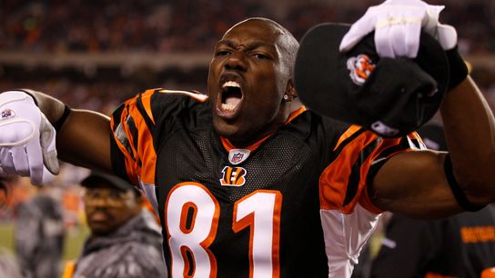 Pittsburgh Steelers Terrell Owens Pittsburgh Steelers Terrell Owens