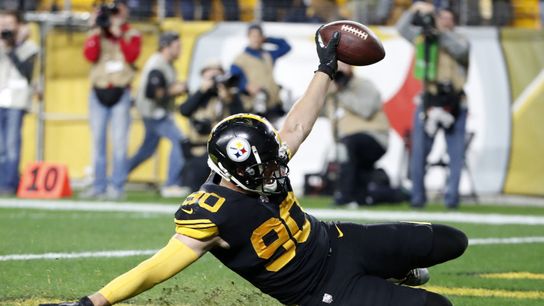 Pittsburgh Steelers TJ Watt