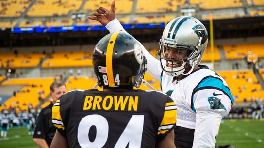 Pittsburgh Steelers Antonio Brown Cam Newton