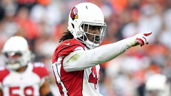 Pittsburgh Steelers sign Markus Golden