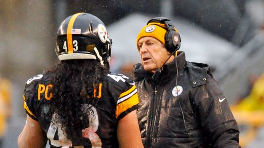 Steelers Dick LeBeau Troy Polamalu