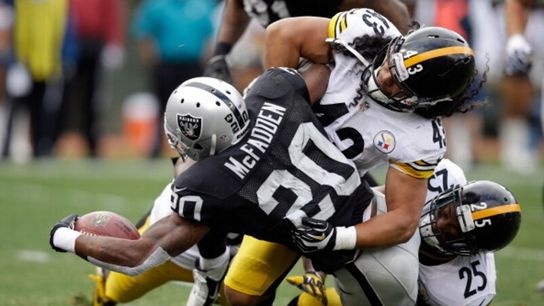 Steelers Troy Polamalu Steelers Troy Polamalu