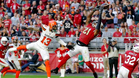 Steelers Patrick Peterson Steelers Patrick Peterson