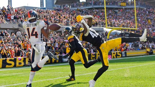 Steelers James Pierre Steelers James Pierre