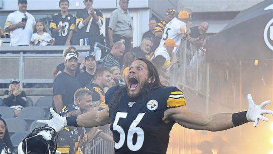 Steelers Anthony Chickillo Steelers Anthony Chickillo
