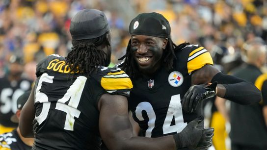 Steelers Joey Porter Jr Markus Golden