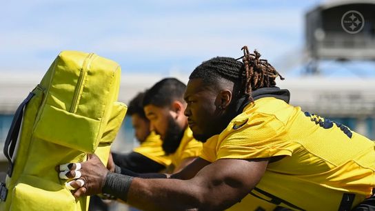 Steelers Larry Ogunjobi