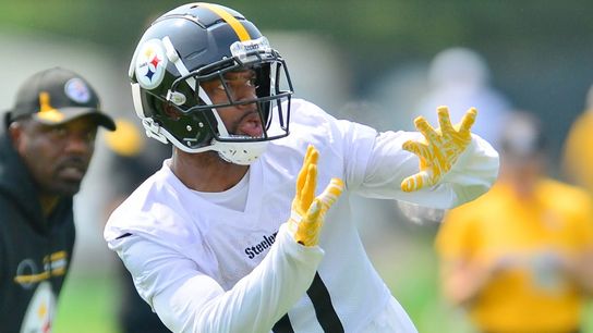 Steelers Allen Robinson