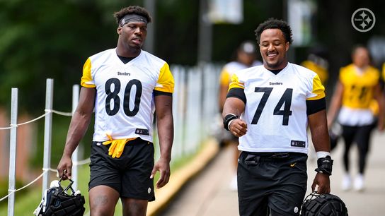 Steelers' Darnell Washington (80) and Spencer Anderson (74)