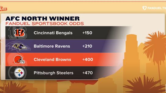 Steelers' predicted to lose the AFC North