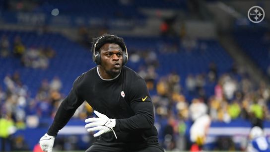 Steelers' Mark Robinson Steelers' Mark Robinson