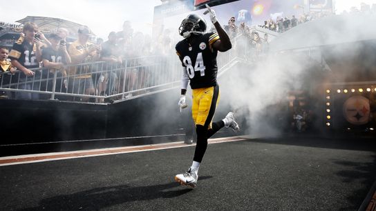 Steelers Antonio Brown