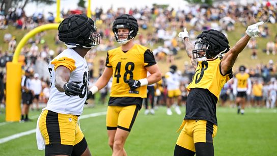 Steelers Reveal A Litany Of Roster Moves While Releasing Veteran Cornerback (Steelers News)
