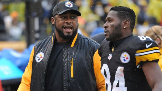 Steelers' Antonio Brown Steelers' Mike Tomlin