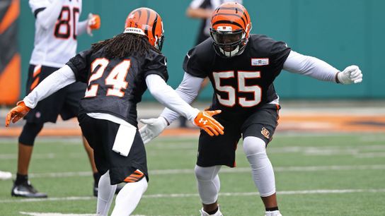 Pittsburgh Steelers Cincinnati Bengals Vontaze Burfict