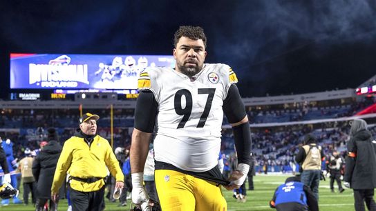 Steelers Cam Heyward