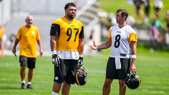 Steelers' Cam Heyward