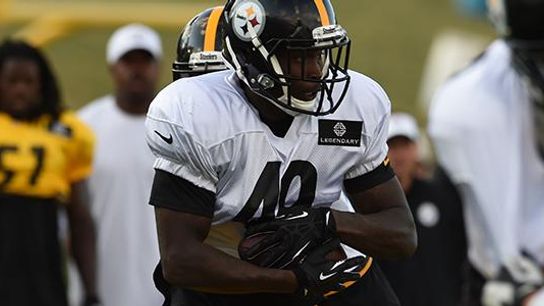 Former Steelers RB Detailed What Getting Cut By Pittsburgh Really Was Like: “Grown Men In Tears” (Steelers News)