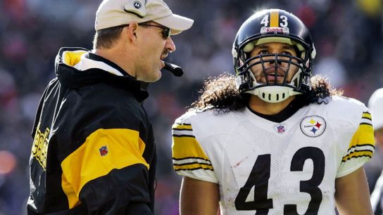 Steelers Bill Cowher Troy Polamalu