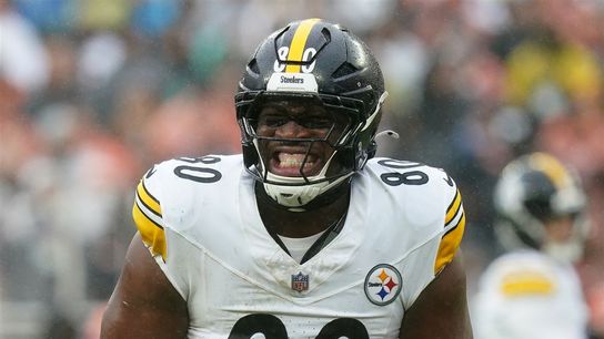 Steelers Working To Make Darnell Washington Happy After Latest Update. Photo by Matt Freed / Post-Gazette