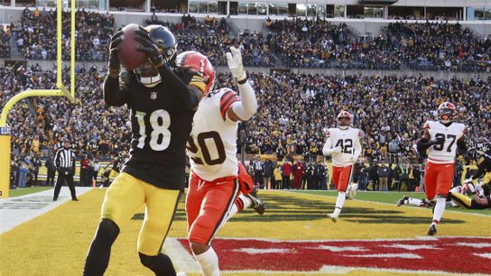 Steelers Dionate Johnson finds the endzone in the 2023 season finale against the Cleveland Browns.