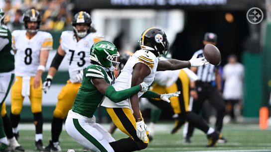 Steelers' DK Metcalf