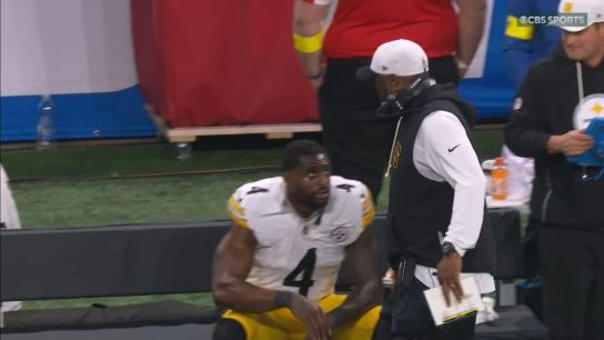 Mike Florio Calls Out Steelers For Colossal Failure Of Protecting Fans And DK Metcalf (Steelers News)