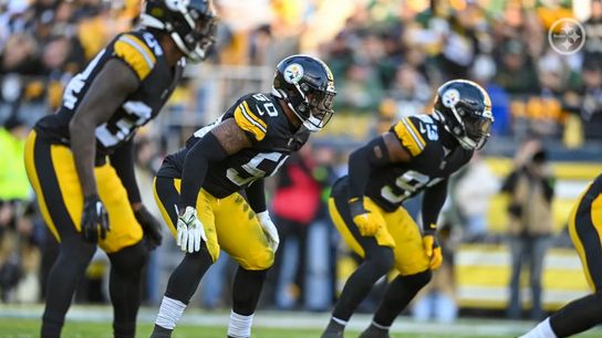 Steelers Elandon Roberts Mark Robinson