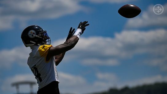 Steelers' George Pickens Has No Limit In 2024: "Grow Into A Truly Dominant Alpha Receiver" (Steelers News)