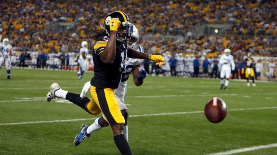 Steelers Sammie Coates Steelers Sammie Coates