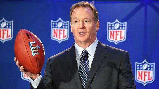 Steelers' Roger Goodell