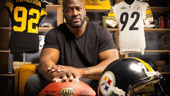 Pittsburgh Steelers' James Harrison Super Bowl Worn Gear Sells For Astonishing Amounts (James Harrison)