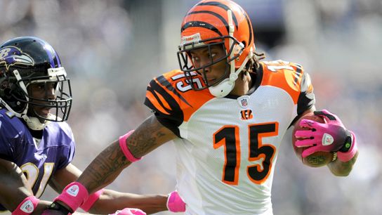 Steelers Chris Henry Steelers Chris Henry