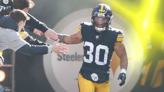 Steelers Troy Polamalu