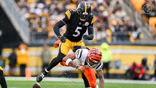Bengals' Royalty Slams Ja'Marr Chase For Shameful Act Committed Against Steelers (Steelers News)