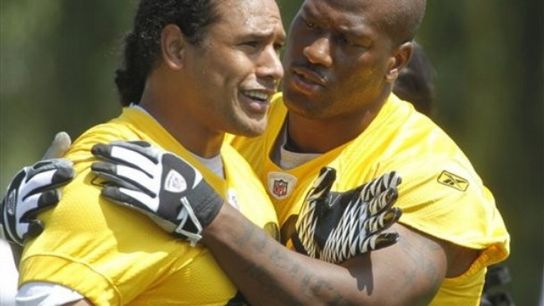 Troy Polamalu's Former Steelers Teammate Reveals Hidden Side Fans Never Saw (Steelers News)