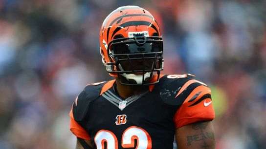 Steelers Great James Harrison Couldn't Find Success With Bengals: "Everyone Was Afraid" (Steelers News)