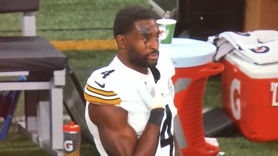 Steelers' DK Metcalf Steelers' DK Metcalf