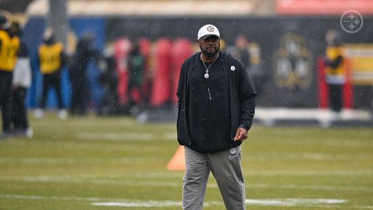 Fittipaldo: Steelers Not Likely To Win AFC North After Big Injuries (Steelers News)