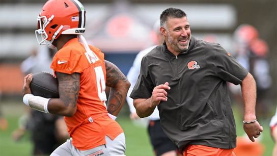 Steelers Mike Vrabel Steelers Mike Vrabel