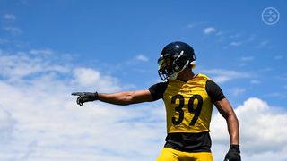 Steelers' Minkah Fitzpatrick Needs Mike Tomlin To Save Him From Himself (Steelers News). Photo by Karl Roser / Pittsburgh Steelers