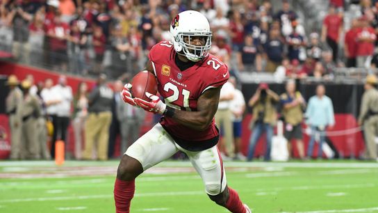 Steelers Arizona Cardinals Patrick Peterson