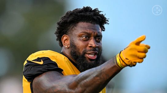 Steelers' new defensive captain Patrick Queen during the Friday Night Lights practice in Latrobe.