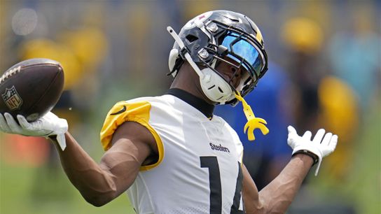 Steelers Fans Given Warning: "Wouldn't Just Plan On" A New Wide Receiver Being Added Before 2024 Training Camp (Steelers News)