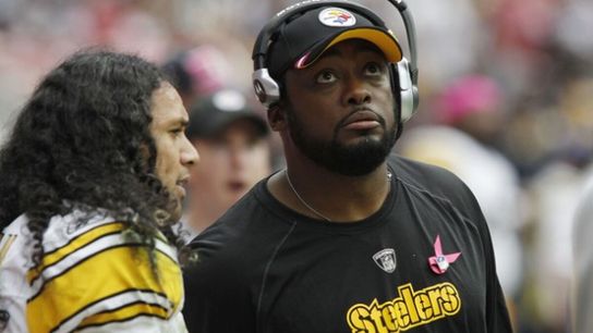 Steelers Troy Polamalu Mike Tomlin