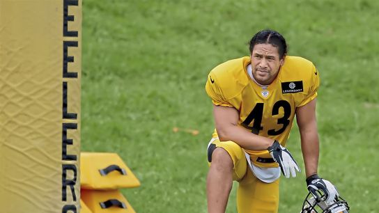 Steelers' Bill Cowher Detailed How Peyton Manning Gave Troy Polamalu False Confidence  (Steelers News)