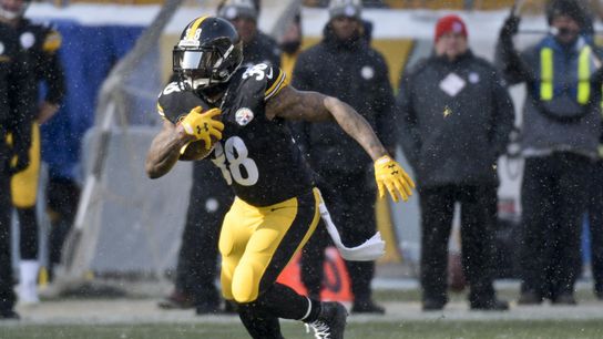 Steelers Stevan Ridley